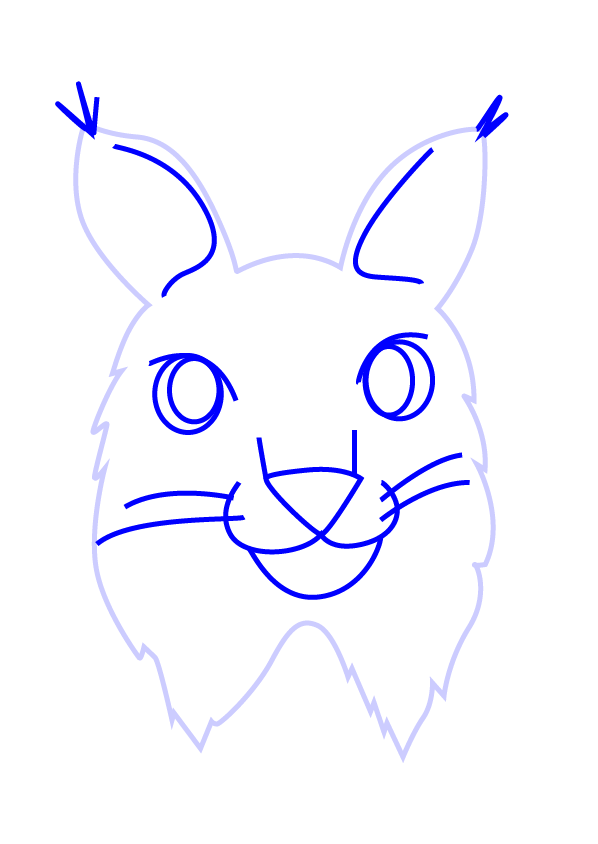 /uploads/image/2021/05/01/How to Draw a Canada Lynx face for Kids3.png